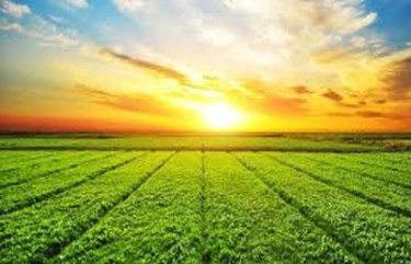 “Đường đến chân trời” - Đường đến với những ước mơ khát vọng